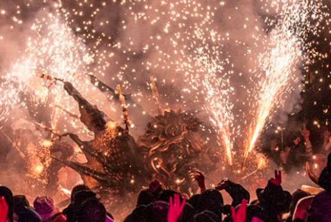 Visites caves i cellers